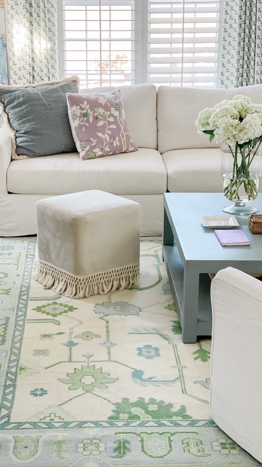 Emogene Modern Oushak Rug