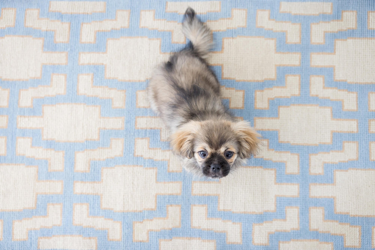 Geometric