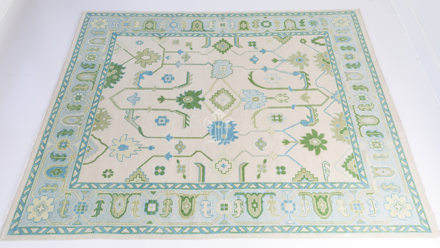 Emogene Modern Oushak Rug
