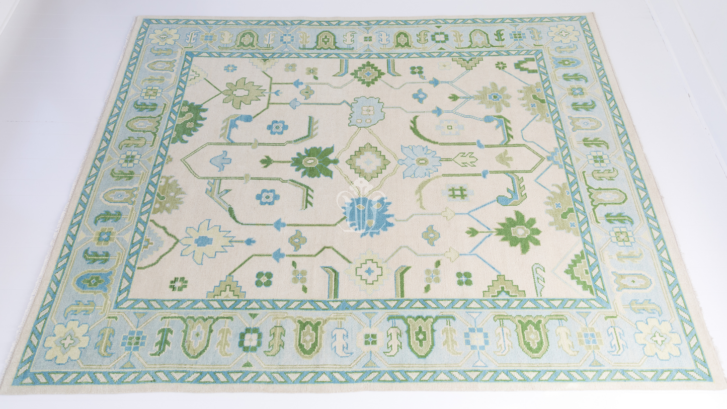 Emogene Modern Oushak Rug (ready to ship)
